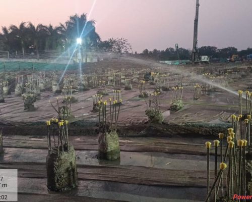 WhatsApp Image 2025-11-30 at 19.49.05