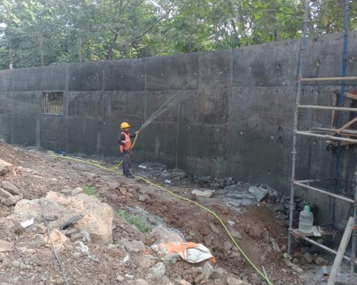 WhatsApp Image 2025-11-30 at 20.48.01